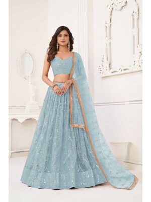 Sky Blue Color Butterfly Net Lehenga Choli
