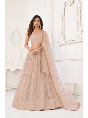Peach Color Butterfly Net Lehenga Choli