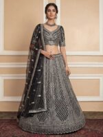 Black Color Net Lehenga Choli