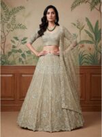 Beige Color Net Lehenga Choli