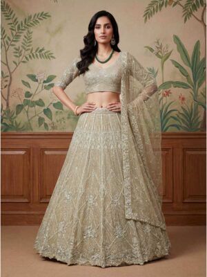 Beige Color Net Lehenga Choli