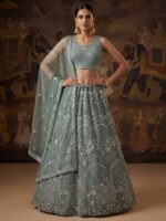 Green Color Net Lehenga Choli