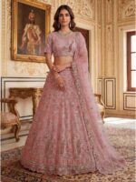 Peach Color Net Lehenga Choli