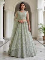 Pista Color Net Lehenga Choli