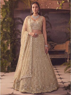 Beige Color Net Lehenga Choli