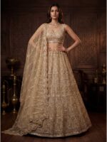 Beige Color Net Lehenga Choli
