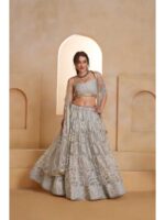 Light Grey Color Butterfly Net Lehenga Choli