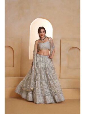 Light Grey Color Butterfly Net Lehenga Choli