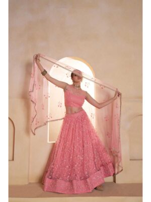 Light Pink Color Butterfly Net Lehenga Choli