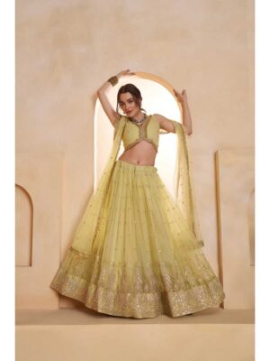 Lemon Yellow Color Butterfly Net Lehenga Choli