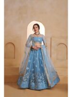 Mint Blue Color Butterfly Net Lehenga Choli