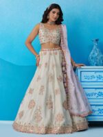 Pista Color Tissue Lehenga Choli