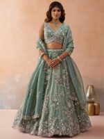 Green Color Tissue Lehenga Choli