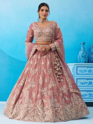 Pink Color Tissue Lehenga Choli