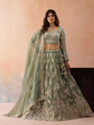 Pista Color Tissue Lehenga Choli