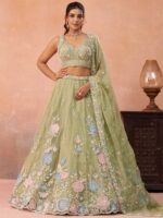 Pista Color Tissue Lehenga Choli