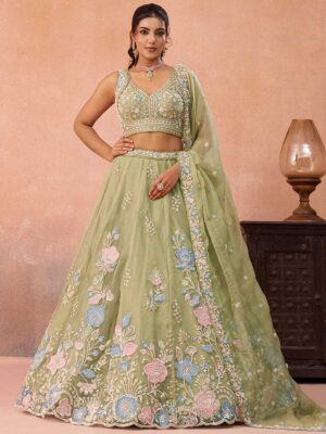 Pista Color Tissue Lehenga Choli