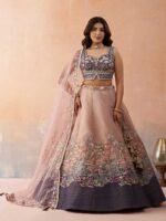 Peach Color Net Lehenga Choli