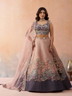 Peach Color Net Lehenga Choli