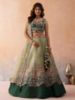 Pista Color Net Lehenga Choli