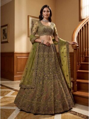 Pista Color Net Lehenga Choli