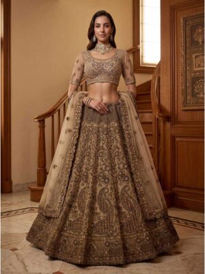 Beige Color Net Lehenga Choli
