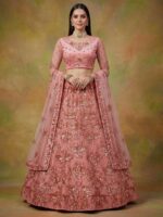 Peach Color Net Lehenga Choli
