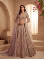Pink Color Gadhwal Silk Lehenga Choli
